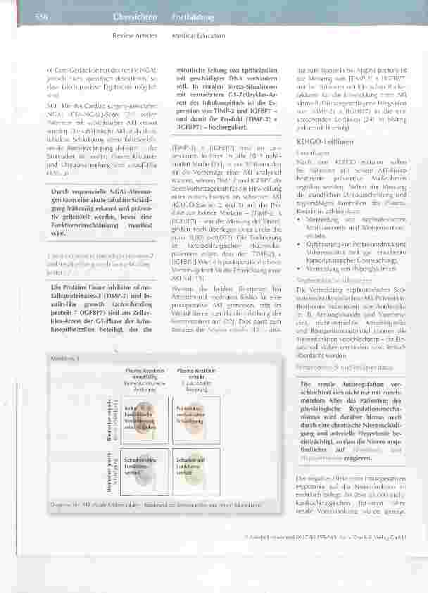 Vorschauseite 4: Perioperative akute Nierenschädigung