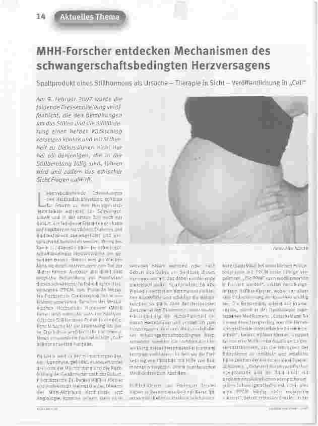 Vorschauseite 1: MHH-Forscher entdecken Mechanismen des schwangerschaftsbedingten Herzversagens