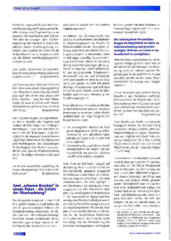 Vorschauseite 2: Integriertes Budget