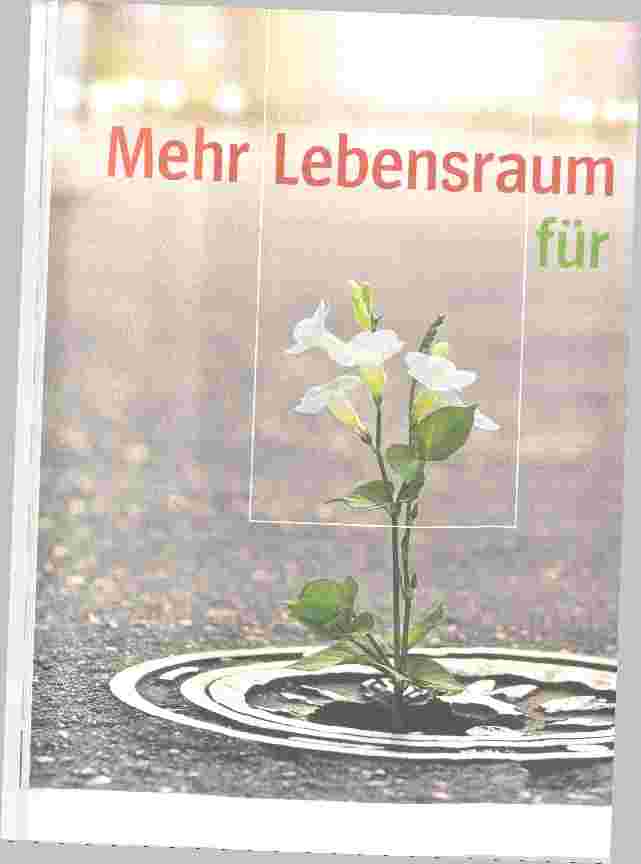 Vorschauseite 1: Mehr Lebensraum für Großstadtpflanzen