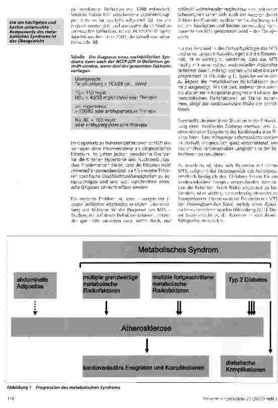 Vorschauseite 2: Das metabolische Syndrom