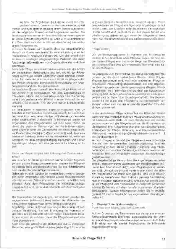 Vorschauseite 6: Einbindung des Strukturmodells in der ambulanten Pflege mit Fallbezügen