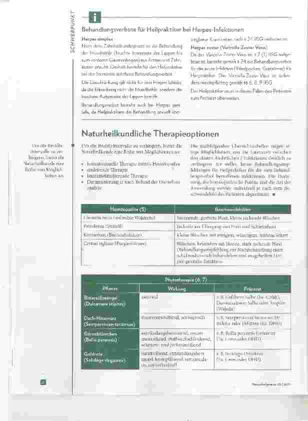 Vorschauseite 3: Herpes labialis