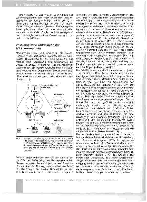 Vorschauseite 2: Adrenorezeptoren - Aktueller Kenntnisstand und Bedeutung für die perioperative Phase*