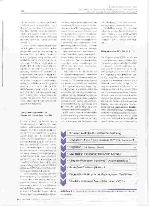 Vorschauseite 3: Bedeutung der Zwerchfell(dys)Funktion für den Weaning-Erfolg