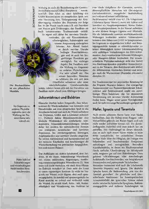 Vorschauseite 3: Die heimatlose Seele Natürliche Unterstützung bei nervöser Unruhe, Angstund Schlafstörungen