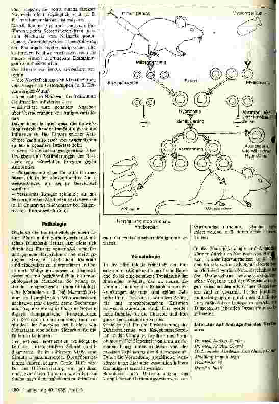 Vorschauseite 2: Monoklonale Antikörper in der medizinischen Diagnostik