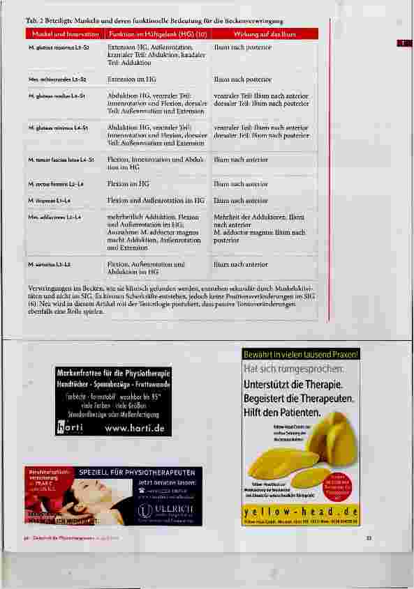 Vorschauseite 3: Neue Testtrilogie bei Beckengürtelschmerz