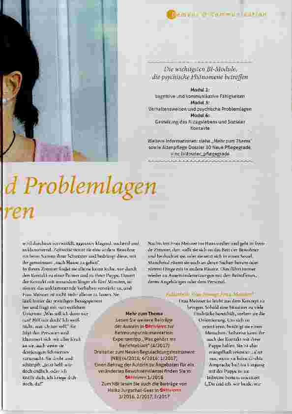 Vorschauseite 2: Psychische Phänomene und Problemlagen erkennen und dokumentieren