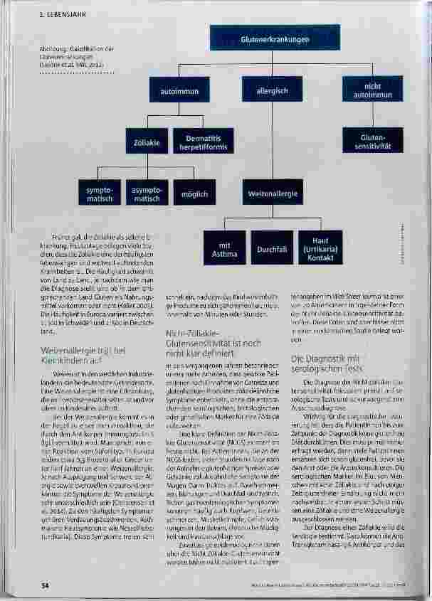 Vorschauseite 2: Macht Gluten krank?