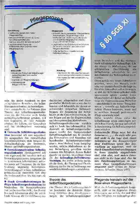 Vorschauseite 2: Die Selbstfürsorge-Defizit-Theorie von Dorothea Orem
