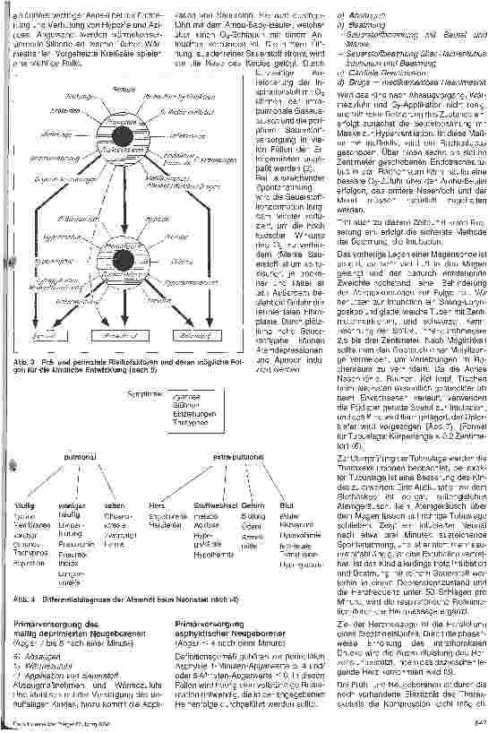 Vorschauseite 3: Reanimation des Früh-und Neugeborenen