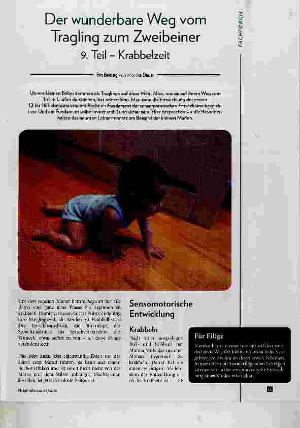 Vorschauseite 1: Der wunderbare Weg vom Tragling zum Zweibeiner 9. Teil Krabbelzeit