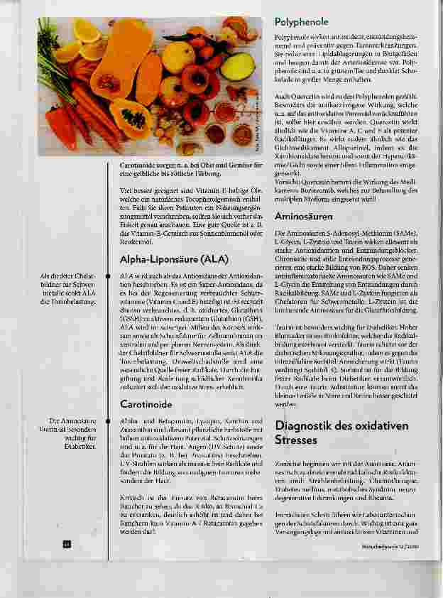 Vorschauseite 3: Oxidativer und nitrosativer Stress