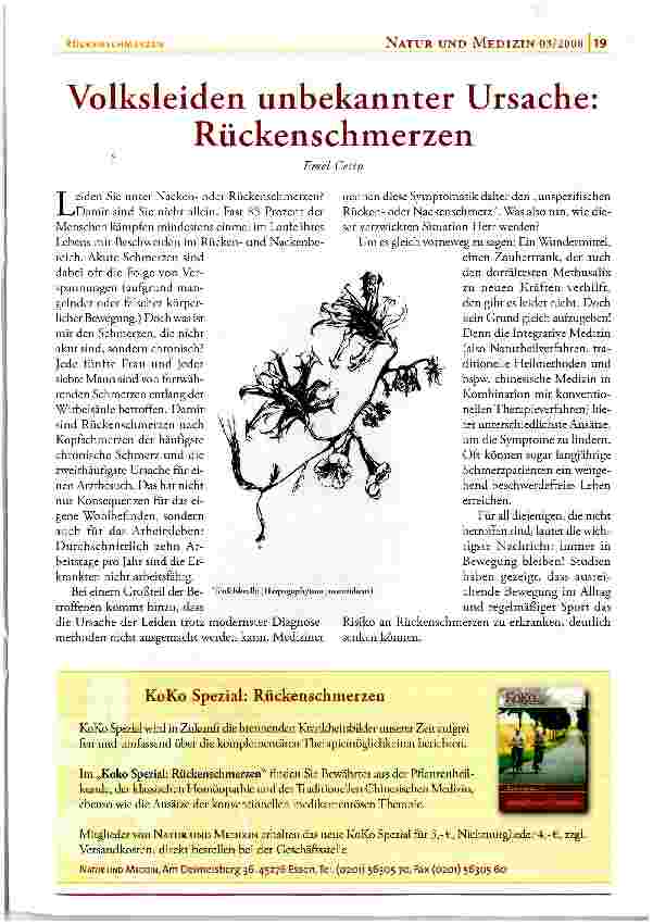 Vorschauseite 1: Volksleiden unbekannter Ursache Rückenschmerzen