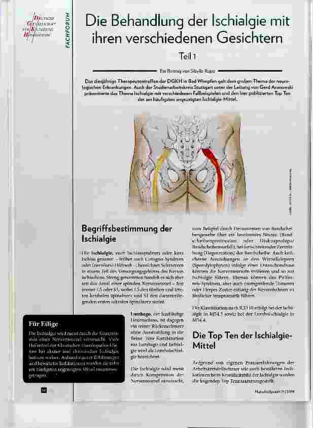 Vorschauseite 1: Die Behandlung der Ischialgie mit ihren verschiedenen Gesichtern Teil 1