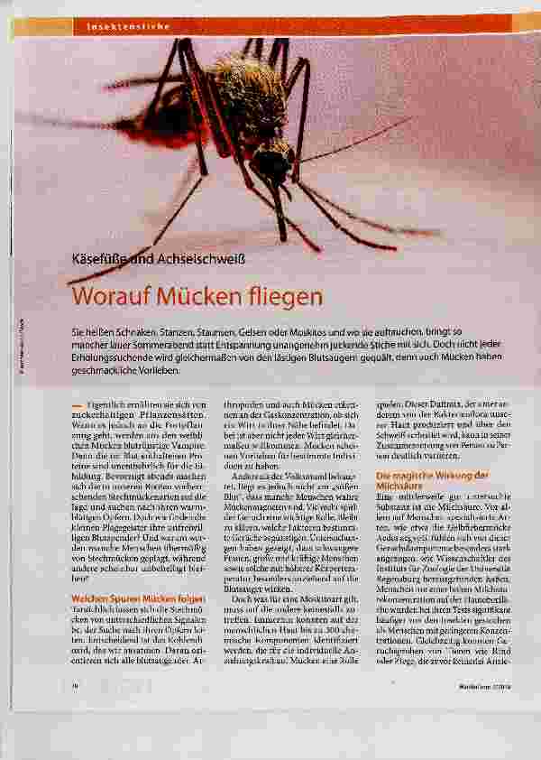 Vorschauseite 1: Worauf Mücken fliegen