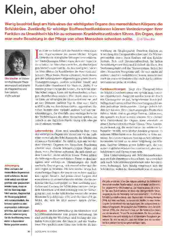 Vorschauseite 1: Klein, aber oho!