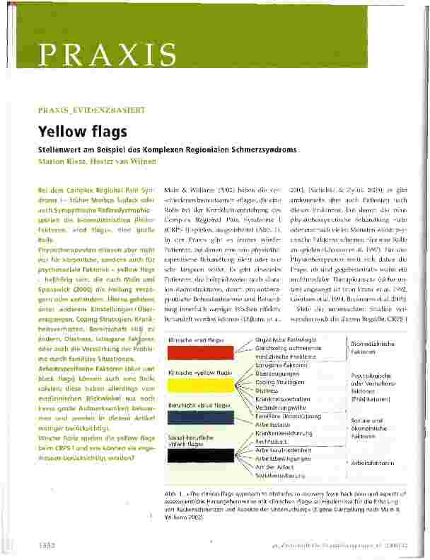 Vorschauseite 1: Yellow flagsStellenwert am Beispiel des Komplexen Regionialen Schmerzsyndroms