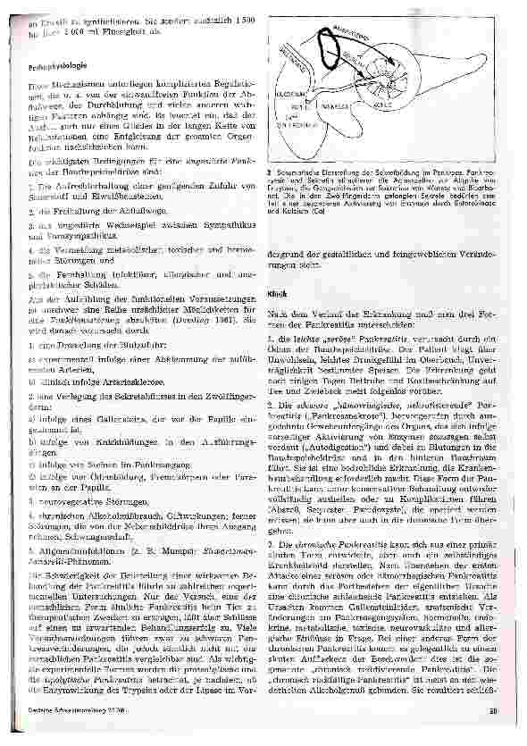Vorschauseite 2: Das Krankheitsbild der Pankreatitis
