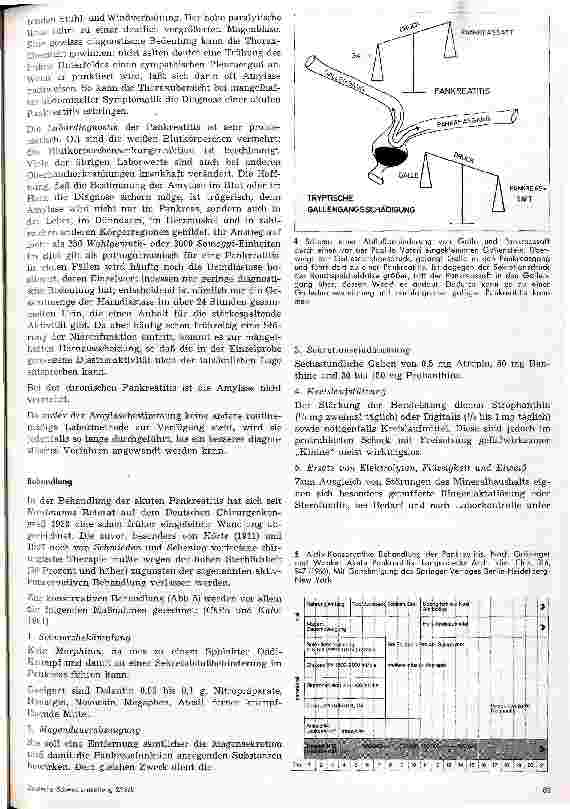 Vorschauseite 4: Das Krankheitsbild der Pankreatitis