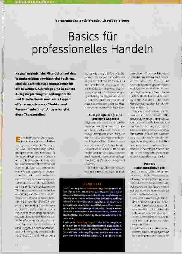 Vorschauseite 1: Basics für professionelles Handeln