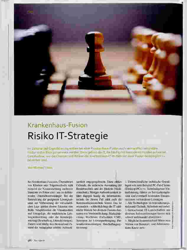 Vorschauseite 1: Risiko IT-Strategie