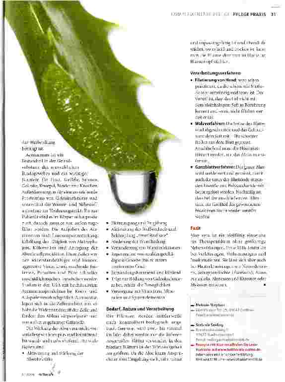 Vorschauseite 2: Sanfte Heilung aus dem Blumentopf