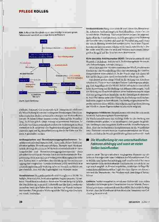 Vorschauseite 2: Arzneimittel und Wundheilung