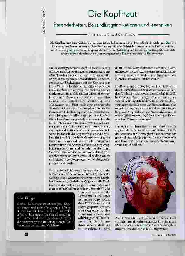 Vorschauseite 1: Die Kopfhaut