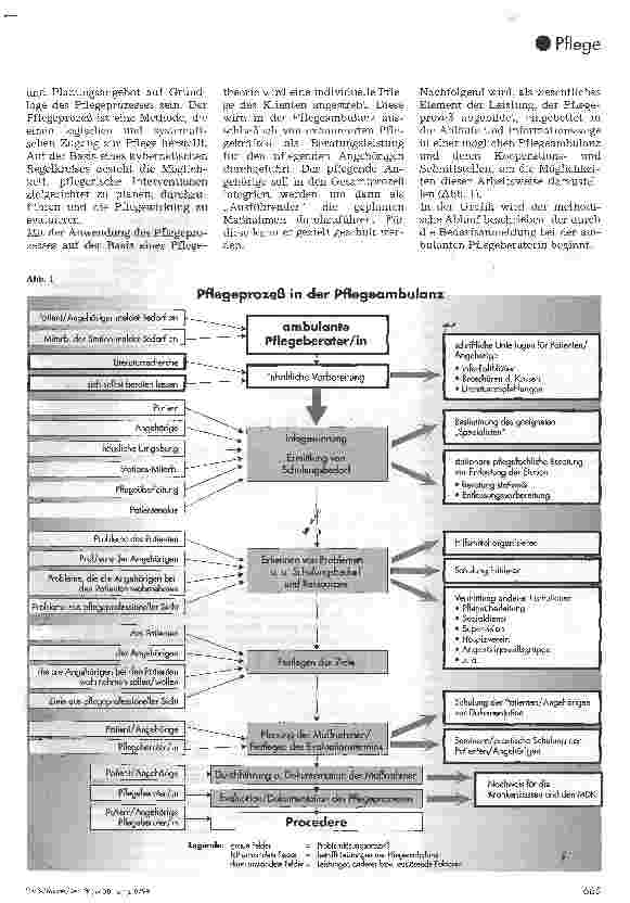Vorschauseite 3: Eine Pflegeambulanz am Krankenhaus Leistungserweiterung und Unterstützung für pflegende Angehörige