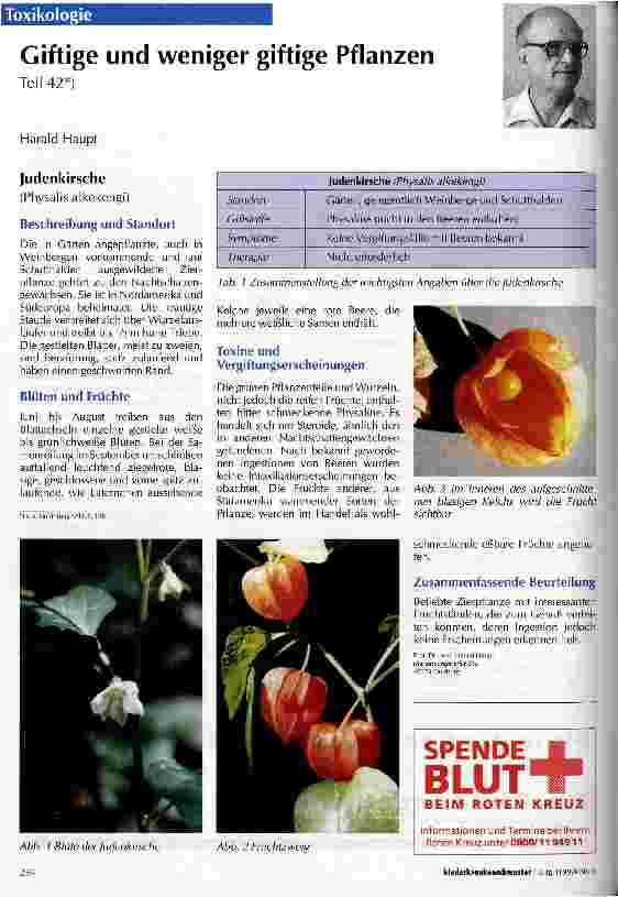 Vorschauseite 1: Giftige und weniger giftige Pflanzen Teil 42