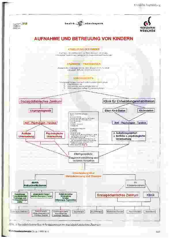 Vorschauseite 5: Sozialpädiatrische Gesichtspunkte bei mehrfachbehinderten Kindern und Jugendlichen
