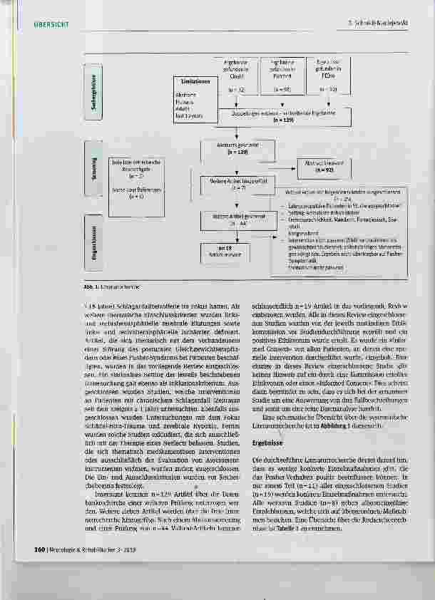 Vorschauseite 3: Pflegerisch-therapeutische Interventionen zur Behandlung von Schlaganfallbetroffenen mit dem Pusher-Syndrom