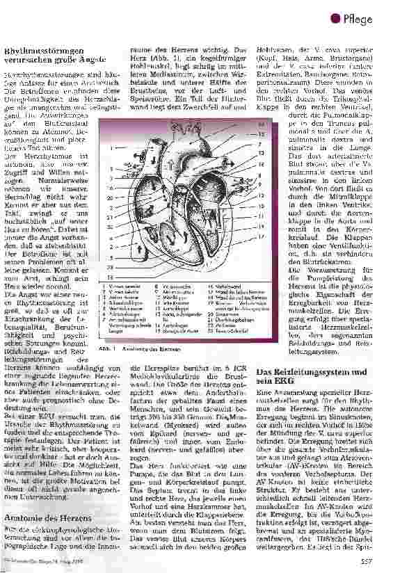 Vorschauseite 2: Katheterablation und elektrophysiologische Untersuchung bei Herzrhytmusstörung