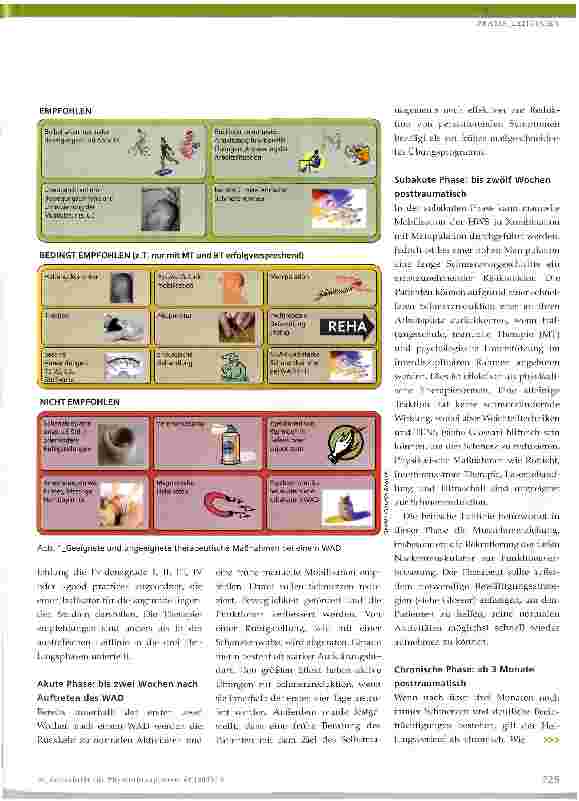 Vorschauseite 2: Whiplash Associated Disorder (WAD)