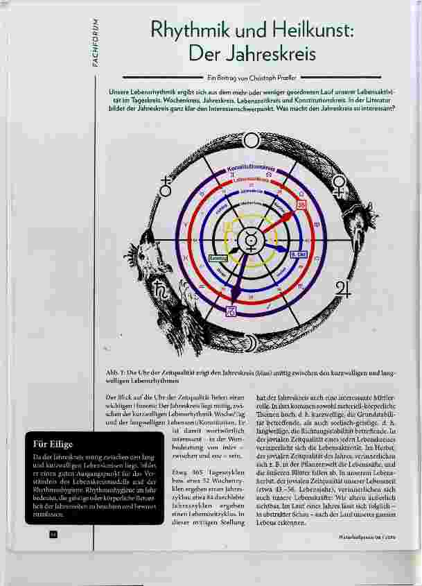 Vorschauseite 1: Rhythmik und Heilkunst: Der Jahreskreis