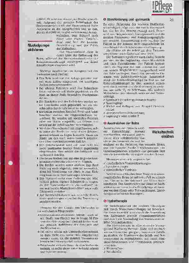 Vorschauseite 3: Pflegepraxis für die interne Fortbildung