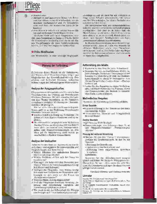 Vorschauseite 4: Pflegepraxis für die interne Fortbildung