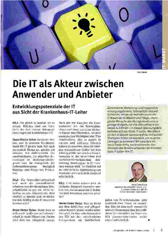 Vorschauseite 1: Die IT als Akteur zwischen Anwender und Anbieter