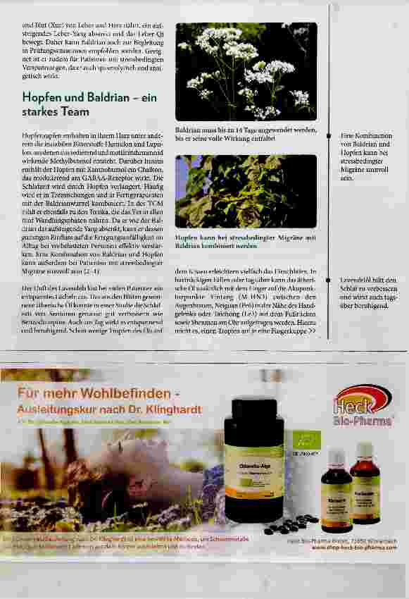 Vorschauseite 2: Phytotherapie für mehr Gelassenheit und besseren Schlaf