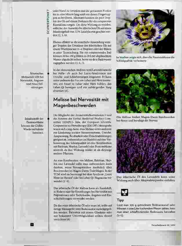 Vorschauseite 3: Phytotherapie für mehr Gelassenheit und besseren Schlaf