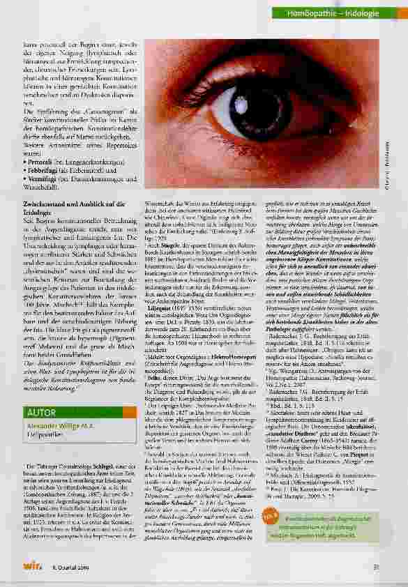 Vorschauseite 4: Der Einfluss homöopathischer Strömungen auf die Entwicklung der Iridologie und der Konstitutionslehre nach J. Broy