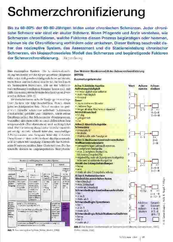 Vorschauseite 1: Schmerzchronifizierung