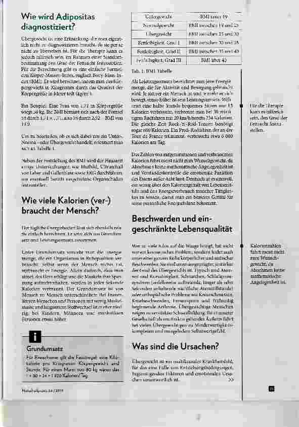 Vorschauseite 2: Übergewicht (Adipositas)