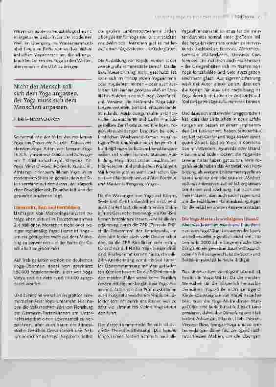 Vorschauseite 2: Herausforderungen des Yoga-Marktes