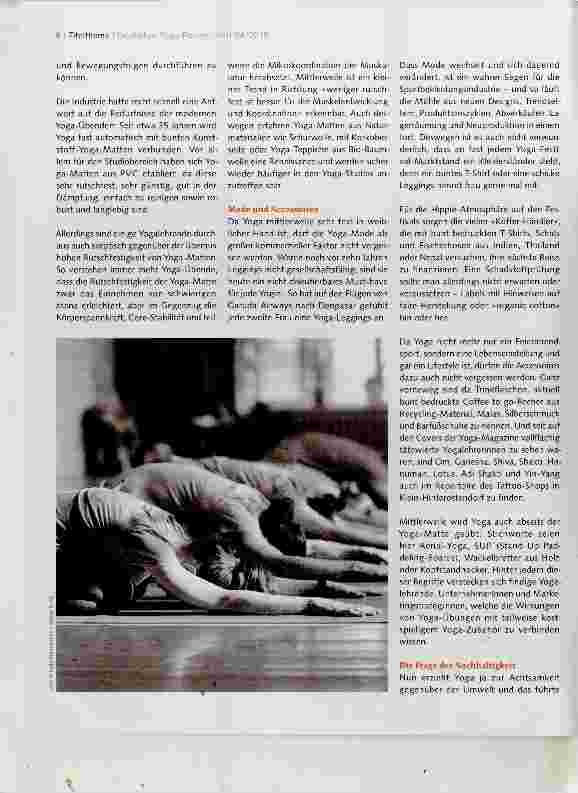 Vorschauseite 3: Herausforderungen des Yoga-Marktes