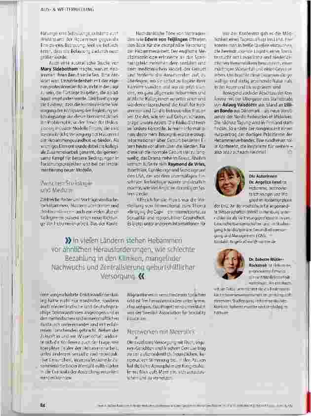 Vorschauseite 3: Geysire als Bild für den Wandel