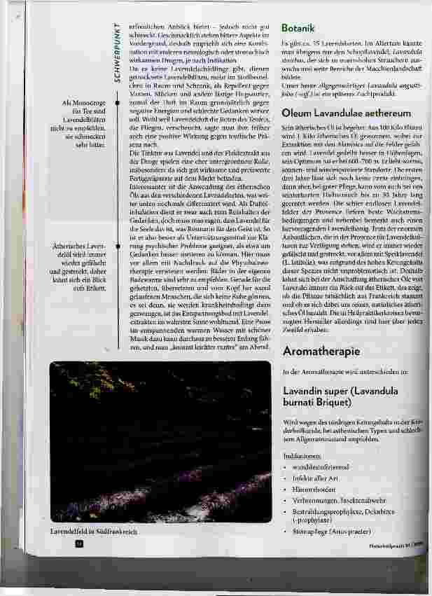 Vorschauseite 3: Lavendel Pflanze der Extreme