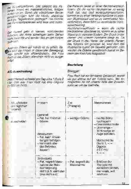 Vorschauseite 3: Pflegebericht
